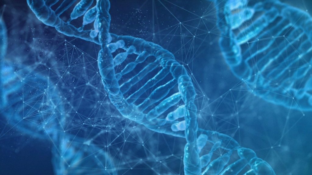 Vizualizace molekuly DNA